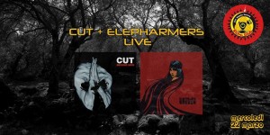 cut-elepharmers-live-at-sidro-club-free_324296
