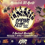 jammin summer fest 2014 cervia