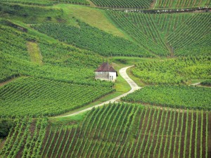 jura