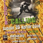 meldola calling 2014