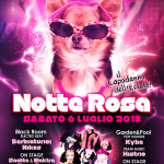 notte rosa classic rimini 2013