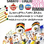 rimini pascoli notte rosa 2013