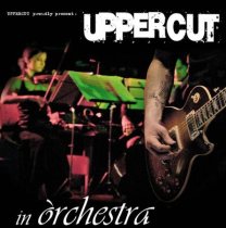 uppercut bradipop