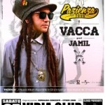 vacca