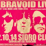 vibravoid sidro 2014