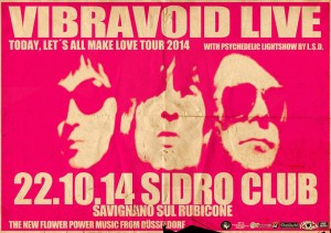 vibravoid sidro 2014